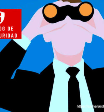 vigilantes de seguridad en España